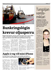 Síða 5