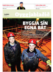 Síða 17