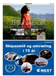 Síða 19