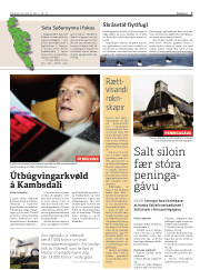 Síða 7