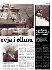 Síða 11