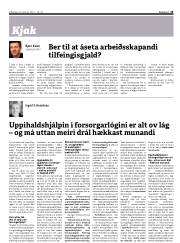 Síða 13