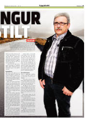 Síða 25