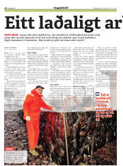 Síða 28