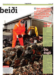Síða 29