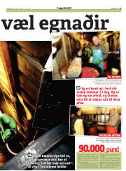 Síða 31