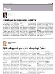 Síða 33