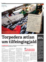 Síða 6