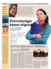 Síða 8