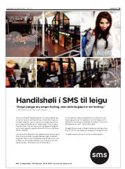 Síða 11