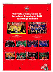 Síða 13