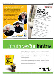 Síða 17
