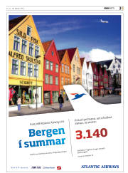 Síða 3