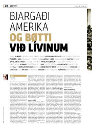 Síða 20