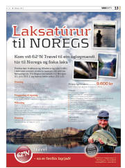 Síða 13