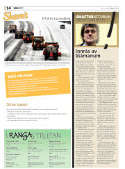 Síða 14