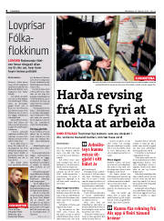 Síða 8