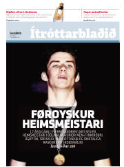 Síða 15