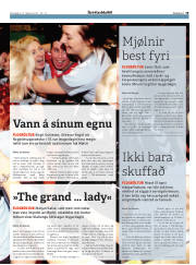 Síða 19