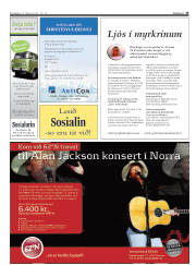 Síða 33