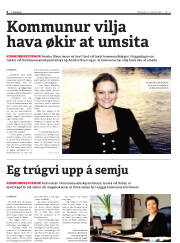 Síða 6