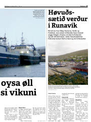 Síða 15