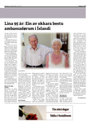 Síða 17