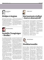 Síða 19