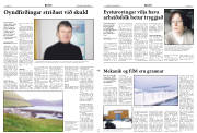 Síða 11