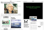 Síða 12