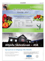 Síða 15