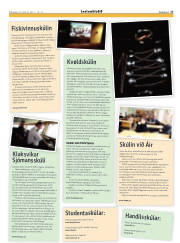 Síða 17
