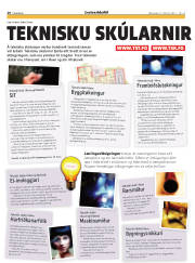 Síða 20