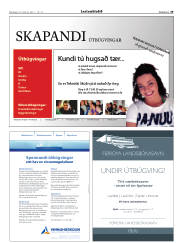 Síða 29