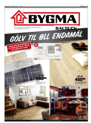 Síða 3