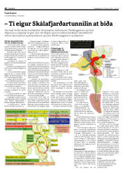 Síða 20