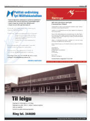 Síða 21
