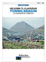 Síða 11