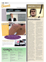 Síða 14