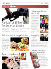 Síða 18