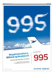 Síða 3