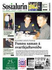 Síða 1