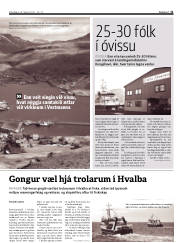 Síða 11