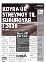 Síða 12