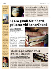 Síða 6