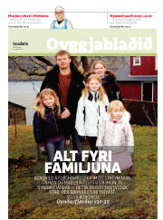 Síða 17