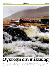 Síða 19