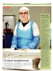 Síða 23