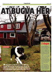 Síða 31
