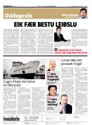 Síða 2